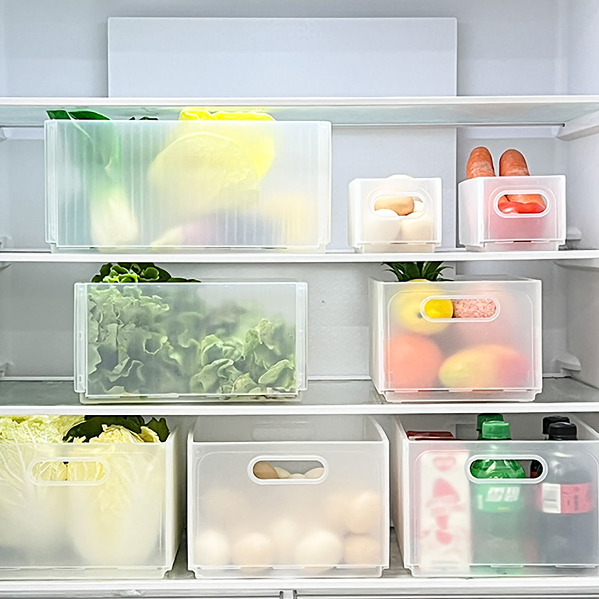 صندوق تخزين الثلاجة البلاستيكي - مراجعة Food Storage Without Plastic وسعره