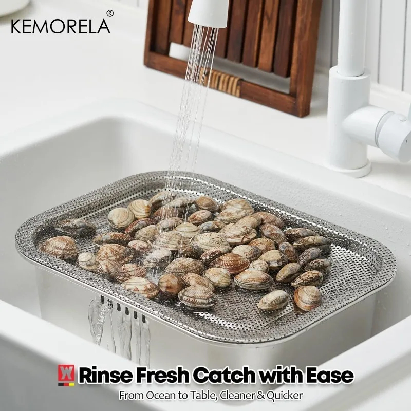 وعاء غسيل محمول من الفولاذ الم - مراجعة Food Storage Organiser وسعره